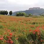 Moritzwiese 나움부르크