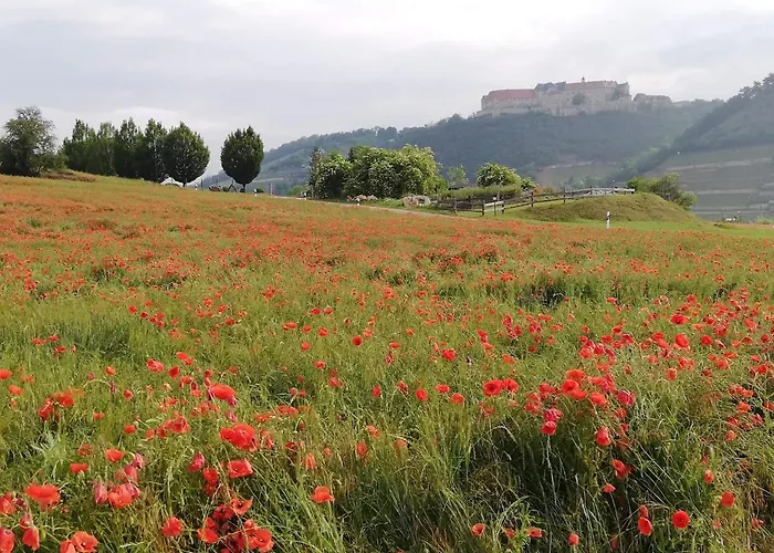 Moritzwiese Naumburg (Saale)