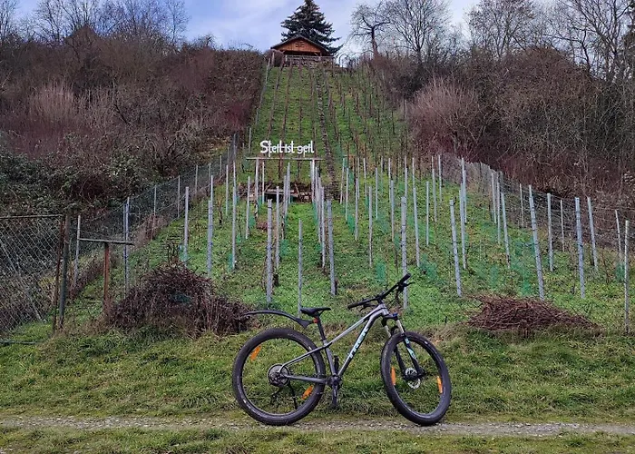 Moritzwiese Appartement