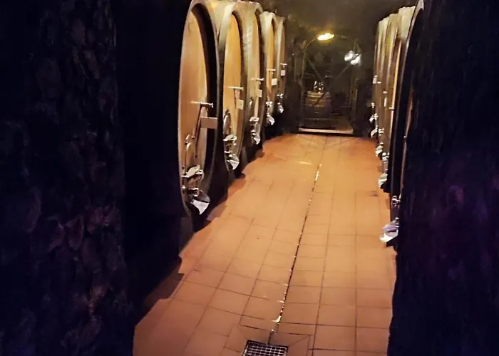 Appartement Moritzwiese Naumbourg